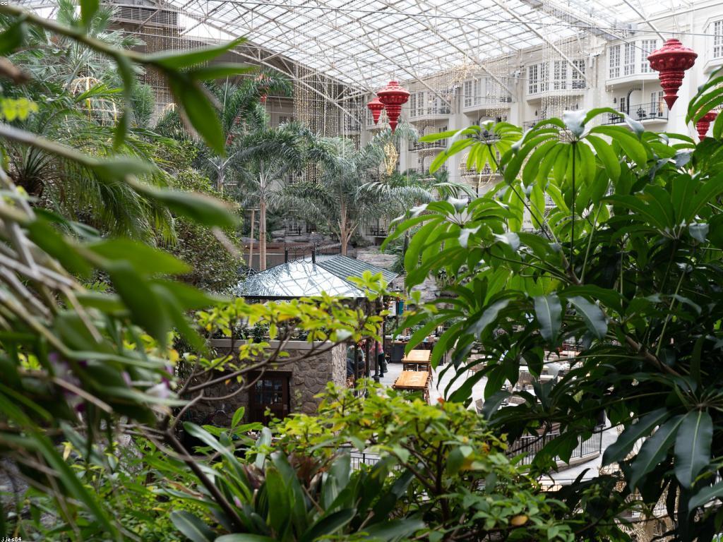 យុទ្ធសាស្ត្រពាណិជ្ជកម្ម: ជំហានសំខាន់ក្នុងការលូតលាស់របស់អាជីវកម្ម