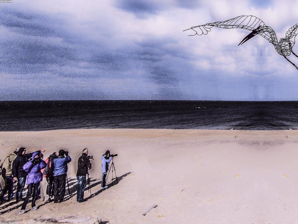 ការបង្ហាញផលិតផលយ៉ាងច្នៃប្រឌិត