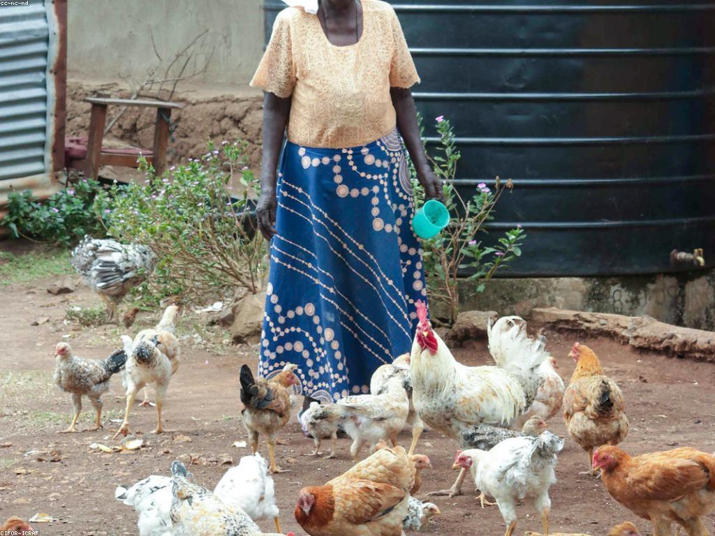 ការអភិវឌ្ឍសហគមន៍